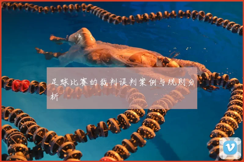 足球比赛的裁判误判案例与规则分析