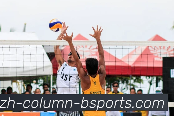 B体育APP 封面图